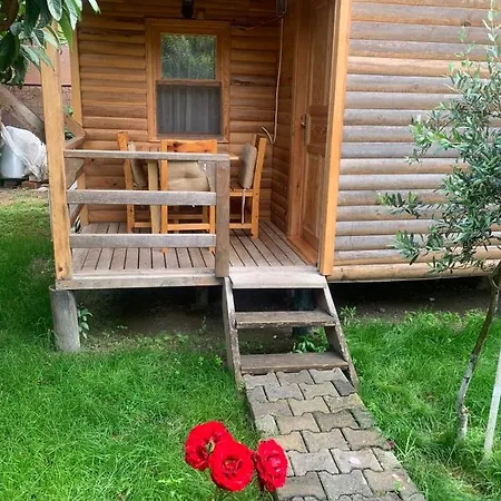 Nature Bungalov Domek alpejski